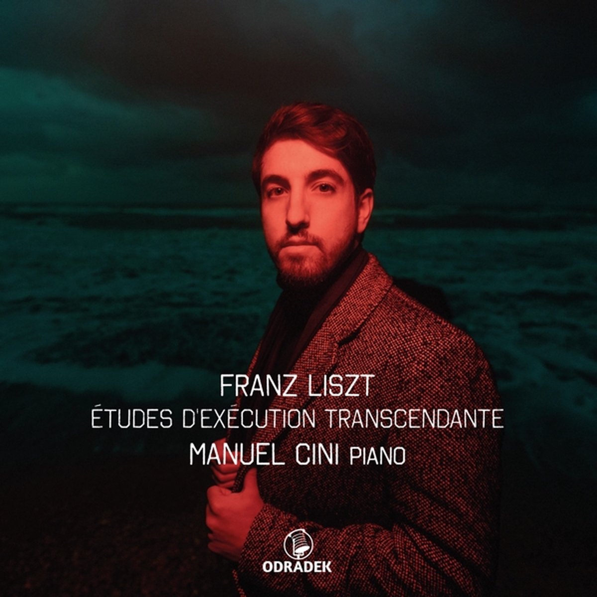 Franz Liszt: Etudes D'exécution Transcendante