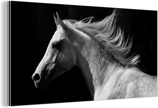 Décoration murale Métal - Peinture Aluminium Industriel - Paarden - Animaux - Portrait - 120x60 cm - Dibond - Photo sur aluminium - Décoration murale industrielle - Pour le salon/chambre