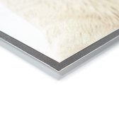 Wanddecoratie Metaal - Aluminium Schilderij Industrieel - Paarden - Sneeuw - Hek - 80x40 cm - Dibond - Foto op aluminium - Industriële muurdecoratie - Voor de woonkamer/slaapkamer