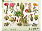 New York Puzzle Company Cacti ~ Cactus - 1000 pieces
