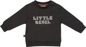 Frogs and Dogs - Dino Park Sweater Little Rebel - - Maat 62 -