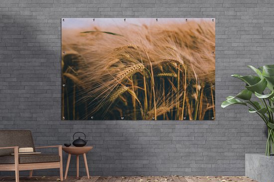 Décoration murale Grain - Nature - Plantes - 180x120 cm - Poster de jardin