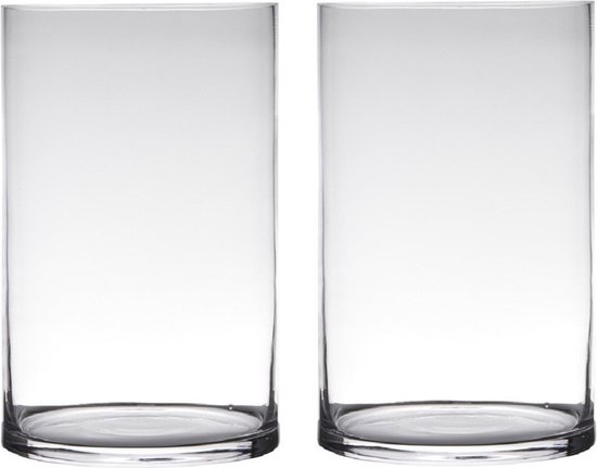 Set van 2x stuks transparante home-basics Cylinder vorm vaas/vazen van glas 25 x 19 cm - Bloemenvaas voor binnen gebruik