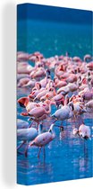 OneMillionCanvasses - Canvas schilderij - Flamingo - Water - Tropisch - Roze - Vogel - Schilderijen op canvas - Foto op canvas - 80x160 cm - Muurdecoratie