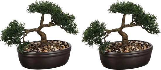Set de 2 bonsaïs Atmosphera en pot céramique 23 cm - Fausses plantes