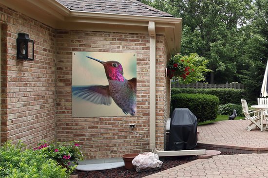 Un gros plan d'un colibri de couleur rose mâle affiche de jardin 100x100 cm - Toile de jardin / Toile d'extérieur / Peintures pour l'extérieur (décoration de jardin)
