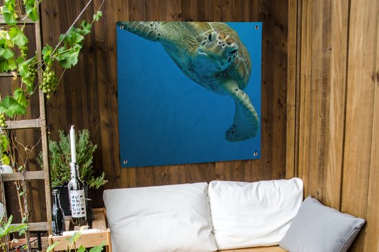 Toile de jardin Impression photo contact visuel avec tortue - 100x100 cm