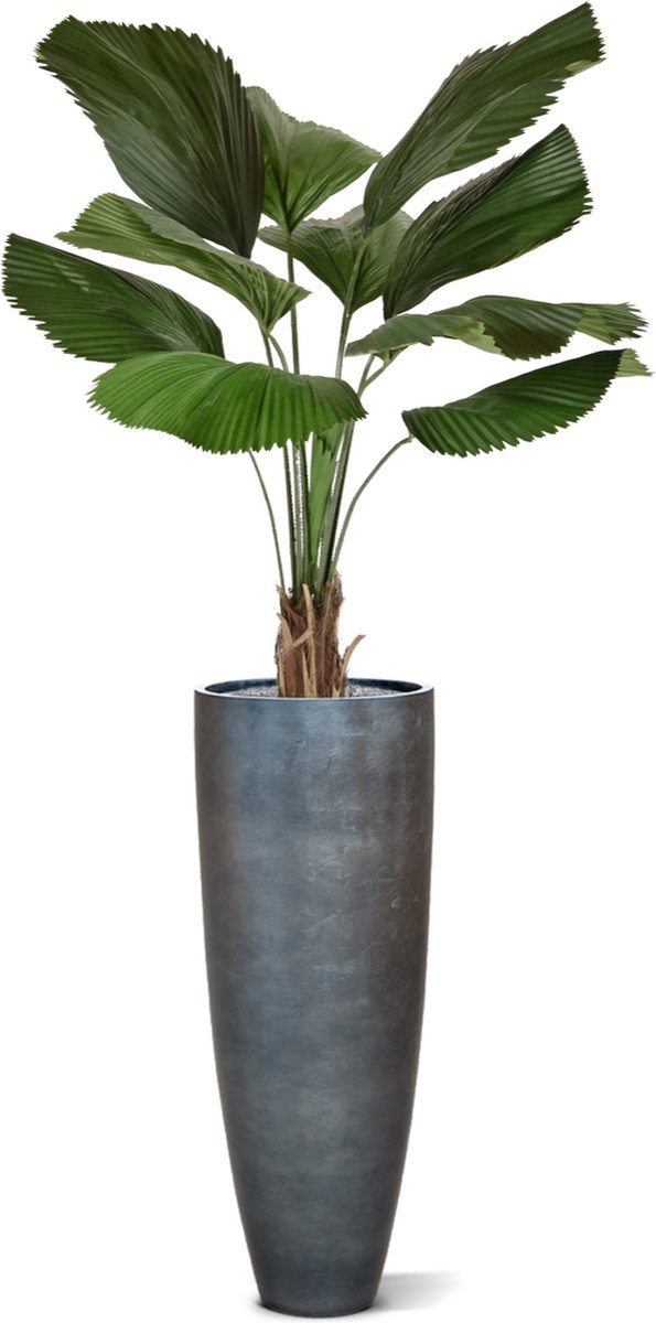 maxifleur Kunstplanten Licuala kunstpalm 140cm Groen