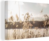 Canvas Schilderij Water - Pampasgras - Planten - 120x80 cm - Wanddecoratie