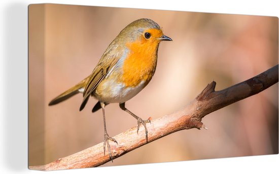 Toile Peinture Vogel - Branche - Rouge-gorge - 40x20 cm - Décoration murale