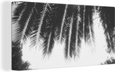 Tableau sur toile Feuilles de palmier - Tropical - Soleil - Palmier - 40x20 cm - Décoration murale