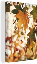 Canvas Schilderij Natuur - Herfstbladeren - Landelijk - 60x90 cm - Wanddecoratie