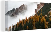 Canvas Schilderij Dennenboom - Herfst - Berg - landschap - 80x40 cm - Wanddecoratie