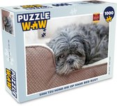 Puzzel Shih Tzu hond die op haar bed rust - Legpuzzel - Puzzel 1000 stukjes volwassenen