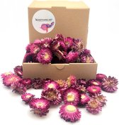 Gedroogde strobloemen Violet - 40 gram