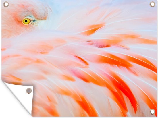 Tuin decoratie Close-up foto van een flamingo - 40x30 cm - Tuindoek - Buitenposter