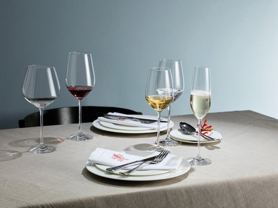 Schott Zwiesel Fortissimo Champagneglas met MP 7 - 0.24 Ltr - set van 6