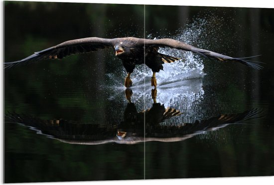 WallClassics - Acrylglas - Adelaar Vlak Boven het Wateroppervlak - 120x80 cm Foto op Acrylglas (Met Ophangsysteem)