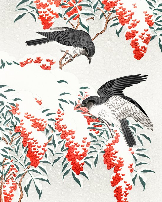 Diamond painting Diamond painting volwassenen Zwaluw Bes Vogel