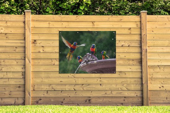 Affiche de jardin Fontaine - Vogel - Water - 120x90 cm