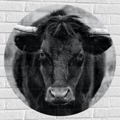 WallClassics - Sticker Muursticker Cercle - Photo Zwart Wit du Taureau - 80x80 cm Photo sur Sticker Muursticker