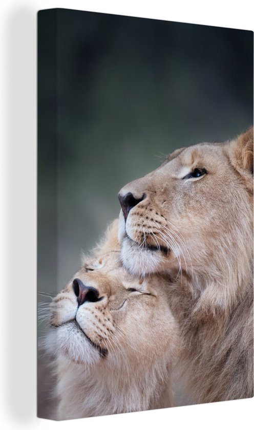 Deux lions photo en gros plan sur toile 20x30 cm - petit - Tirage photo sur toile (Décoration murale salon / chambre) / Animaux Peintures sur toile