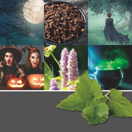 Yankee Candle Witches Brew Large Jar bol