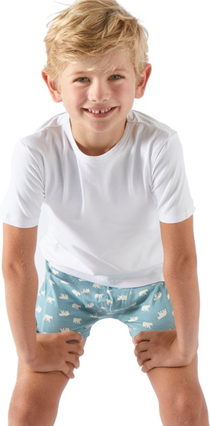 Little Label T-shirt Garçons Wit - 3 pièces - Ensemble économique - Taille 110-116 - Katoen BIO doux