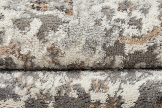 Tapiso Valley Tapis Salon Chambre Gris Clair Cadre Design Moderne Fleurs Durable Vintage Haute Qualité Tapis Taille - 200x300