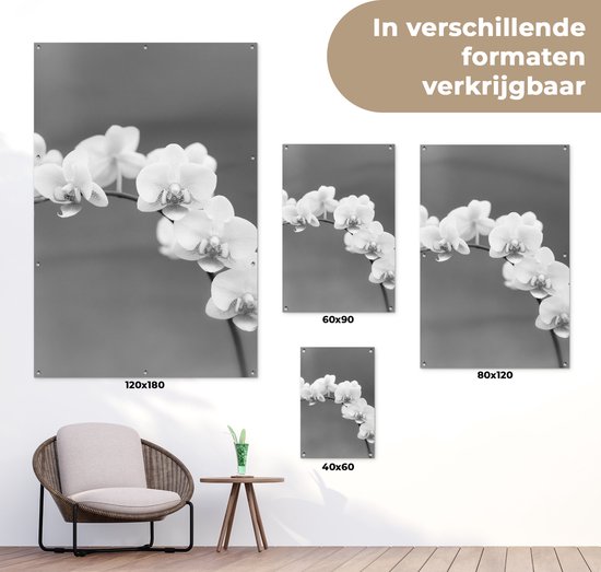Décoration de jardin Orchidée - Fleurs - Plante - Wit - Violet - 40x60 cm - Poster jardin - Toile jardin - Poster extérieur