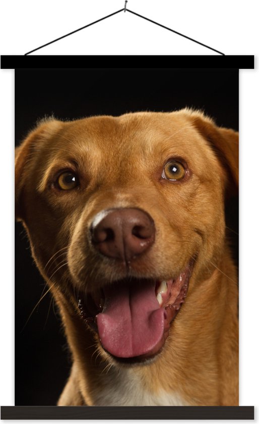 Porte-affiche avec affiche 60x90 cm - Affiche scolaire - Chien - Animaux domestiques - Portrait - Affiche textile - Lattes noires