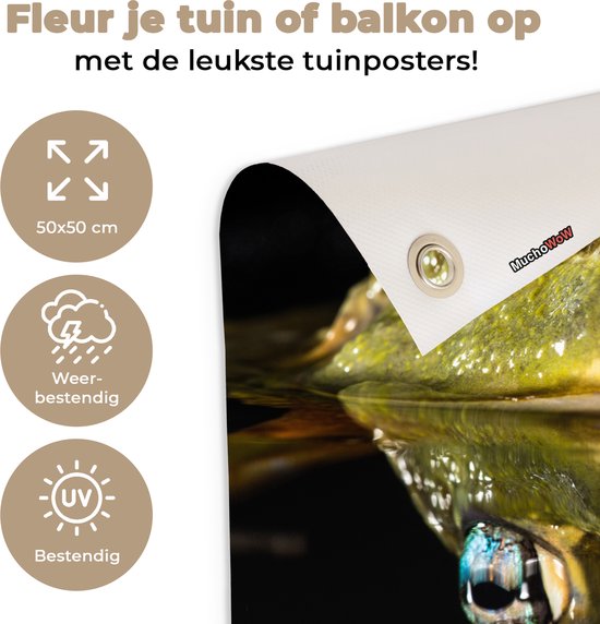 Tuinposter 50x50 cm - Tuindecoratie Kikker - Ogen - Portret - Poster voor in de tuin - Buiten decoratie - Schutting tuinschilderij - Tuindoek muurdecoratie - Wanddecoratie balkondoek