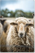 Muurdecoratie Portret van een schaap - 120x180 cm - Tuinposter - Tuindoek - Buitenposter