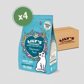 Lily's Kitchen - Kattenvoer Droogvoer - Vispannetje met Witvis en Zalm - 4 x 800 g