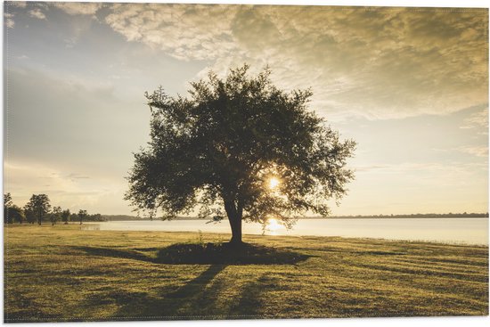 Vlag - Boom - Landschap - Meer - Zon - Water - 60x40 cm Foto op Polyester Vlag