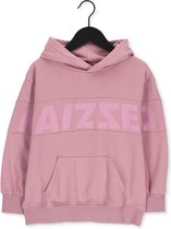 RAIZZED Newark Truien & Vesten Meisjes - Sweater - Hoodie - Vest- Roze - Maat 98