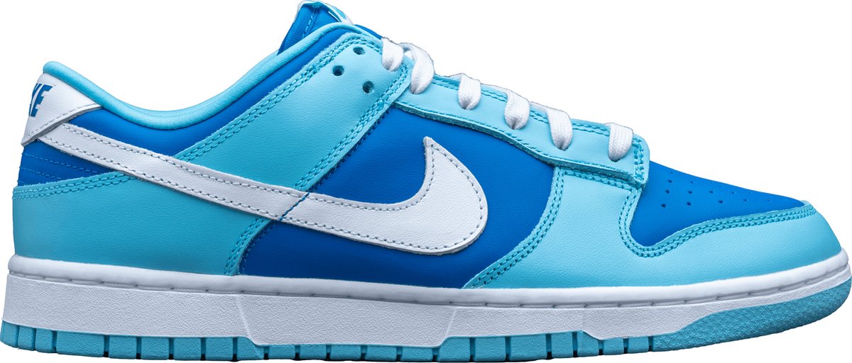 Nike Dunk Low Retro QS Argon DM0121-400 – op Schoenen Kleur Als Op Foto