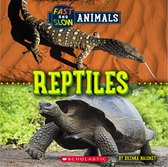 Wild World - Reptiles (Wild World: Fast and Slow Animals)