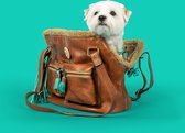 DWAM Dog with a Mission - Draagtas Hond - Hondentas - Draagzak Hond - Hondendraagtas - Dierendraagtas - Tas - Blondie - Bruin - One Size - 32 x 20 x 27 cm