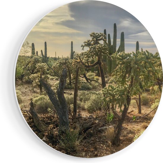 Artaza Forex Muurcirkel Cactus Planten in het Wild - 40x40 cm - Klein - Wandcirkel - Rond Schilderij - Wanddecoratie Cirkel