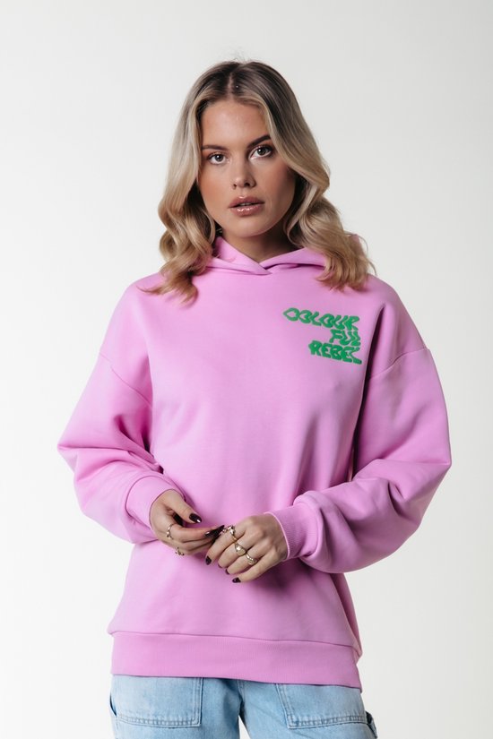 Colourful Rebel Logo Wave Puff Clean Oversized Hoodie - XS