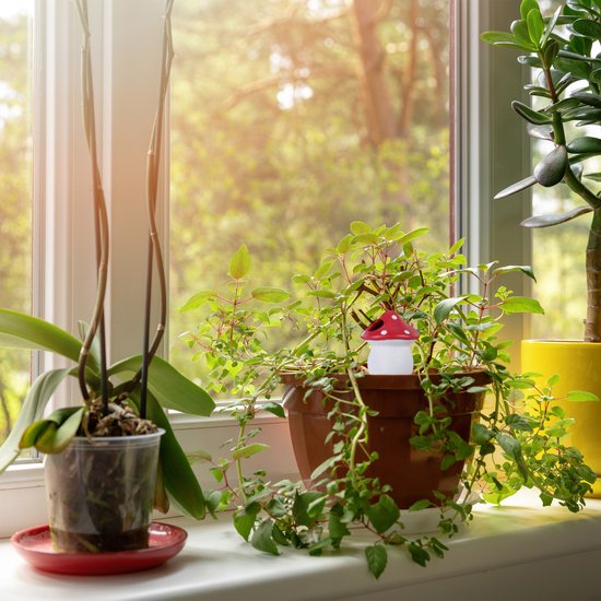 Relaxdays waterdruppelaar, set van 4, elk 110 ml, kamerplanten, paddenstoel, druppelsysteem voor potplanten, kleurrijk Relaxdays waterdruppelaar, set van 4, elk 110 ml, kamerplanten, paddenstoel, druppelsysteem voor potplanten, kleurrijk