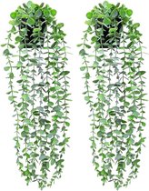 2 stuks kunstmatige potplanten, hangende eucalyptusplanten in pot, namaak-eucalyptusplanten, potplanten met pot, kunstmatige hangplant, groene wijnstokken voor binnen, buiten, muur, decoratie