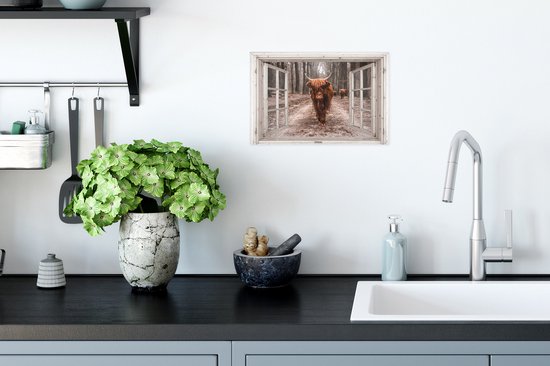 Affiche Transparente - Highlander écossais - Fenêtre - 30x20 cm