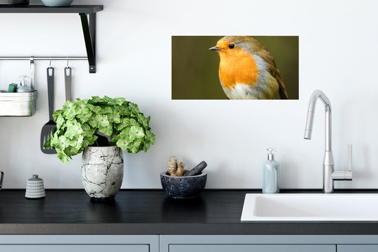 Affiche Robin - Branche - Printemps - 40x20 cm