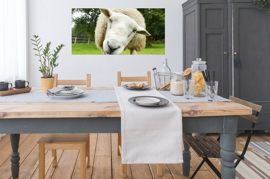 Affiche Mouton - Drôle - Pâturage - 120x60 cm