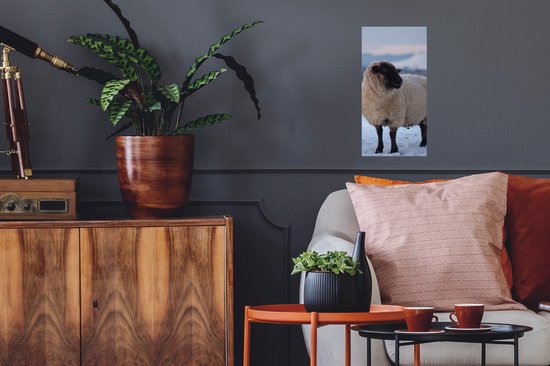 Poster Mouton - Neige - Berg - 20x40 cm