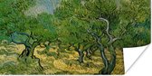 Poster Olijfgaard - Vincent van Gogh - 120x60 cm