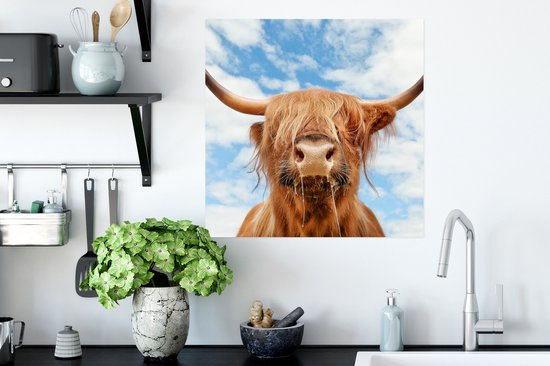 Affiche Highlander écossais - Nuage - Animaux - 50x50 cm