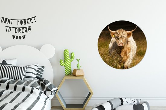 WallCircle - Stickers muraux muraux - Cercle de papier peint - Highlander écossais - Lumière - Herbe - Animaux - 50x50 cm - Cercle mural - Autocollant - Autocollant de papier peint rond